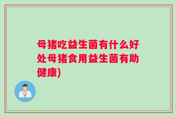 母猪吃益生菌有什么好处母猪食用益生菌有助健康)