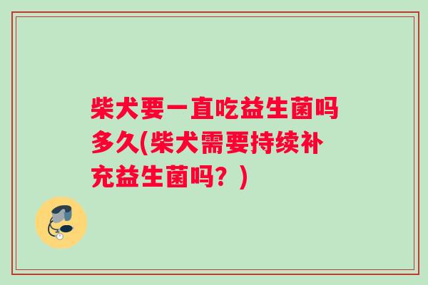柴犬要一直吃益生菌吗多久(柴犬需要持续补充益生菌吗？)