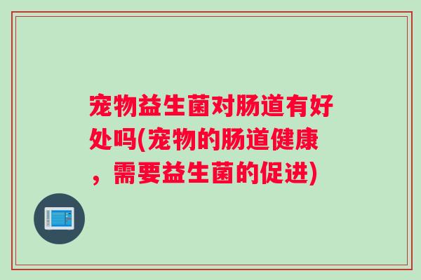 宠物益生菌对肠道有好处吗(宠物的肠道健康，需要益生菌的促进)