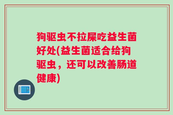 狗驱虫不拉屎吃益生菌好处(益生菌适合给狗驱虫，还可以改善肠道健康)