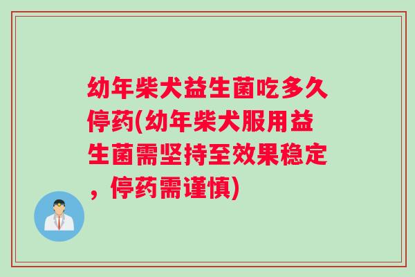 幼年柴犬益生菌吃多久停药(幼年柴犬服用益生菌需坚持至效果稳定，停药需谨慎)