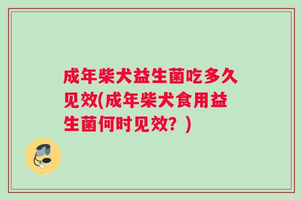 成年柴犬益生菌吃多久见效(成年柴犬食用益生菌何时见效？)