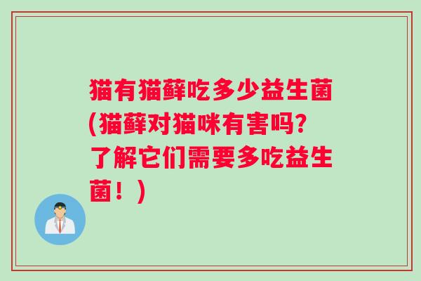 猫有猫藓吃多少益生菌(猫藓对猫咪有害吗？了解它们需要多吃益生菌！)