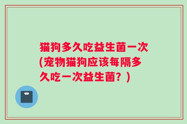 猫狗多久吃益生菌一次(宠物猫狗应该每隔多久吃一次益生菌？)