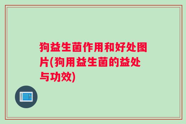 狗益生菌作用和好处图片(狗用益生菌的益处与功效)