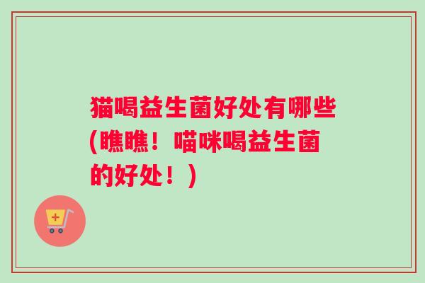猫喝益生菌好处有哪些(瞧瞧！喵咪喝益生菌的好处！)