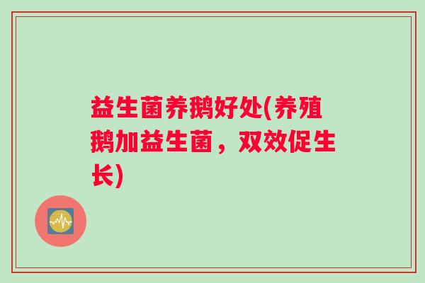 益生菌养鹅好处(养殖鹅加益生菌，双效促生长)