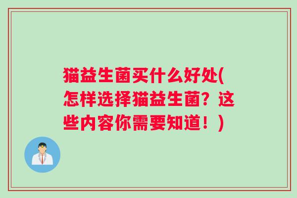 猫益生菌买什么好处(怎样选择猫益生菌？这些内容你需要知道！)
