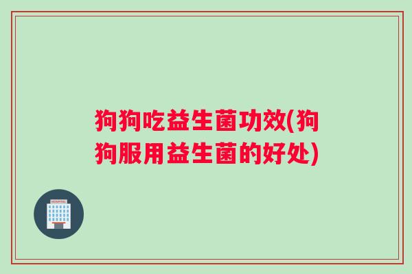 狗狗吃益生菌功效(狗狗服用益生菌的好处)