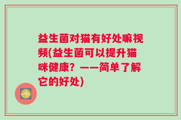 益生菌对猫有好处嘛视频(益生菌可以提升猫咪健康？——简单了解它的好处)