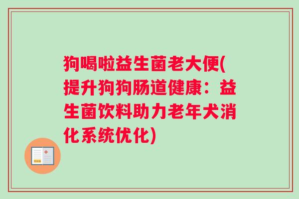 狗喝啦益生菌老大便(提升狗狗肠道健康：益生菌饮料助力老年犬消化系统优化)