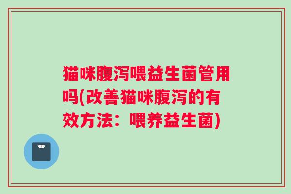 猫咪腹泻喂益生菌管用吗(改善猫咪腹泻的有效方法：喂养益生菌)