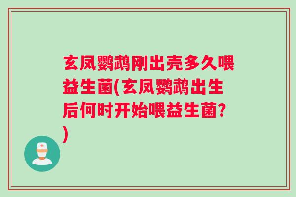 玄凤鹦鹉刚出壳多久喂益生菌(玄凤鹦鹉出生后何时开始喂益生菌？)
