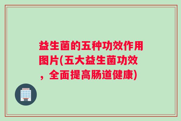 益生菌的五种功效作用图片(五大益生菌功效，全面提高肠道健康)
