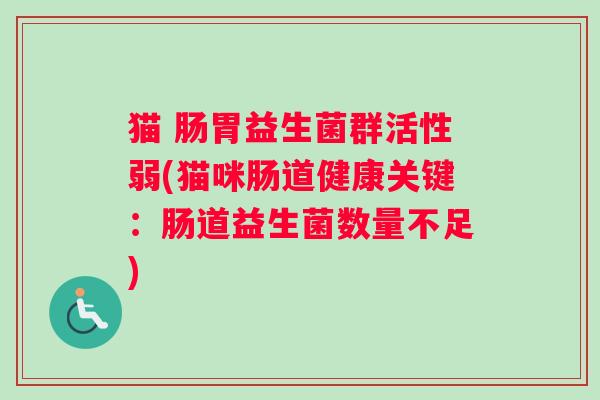 猫 肠胃益生菌群活性弱(猫咪肠道健康关键：肠道益生菌数量不足)