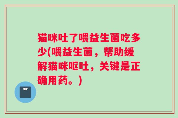 猫咪吐了喂益生菌吃多少(喂益生菌，帮助缓解猫咪呕吐，关键是正确用药。)