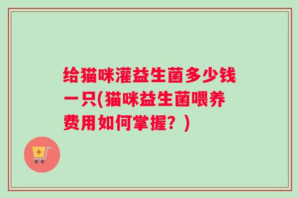 给猫咪灌益生菌多少钱一只(猫咪益生菌喂养费用如何掌握？)