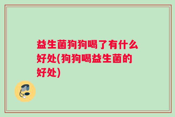 益生菌狗狗喝了有什么好处(狗狗喝益生菌的好处)
