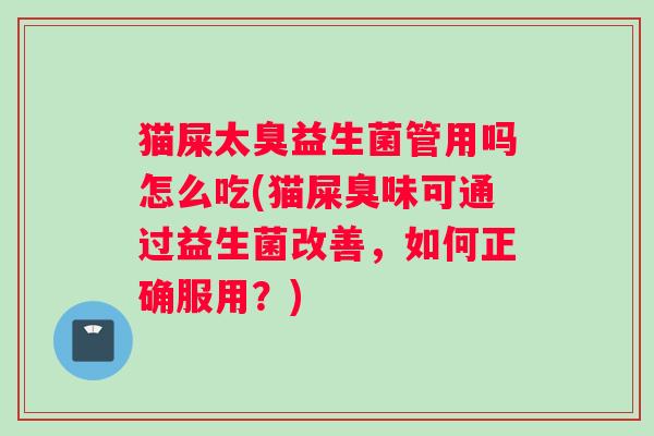 猫屎太臭益生菌管用吗怎么吃(猫屎臭味可通过益生菌改善，如何正确服用？)