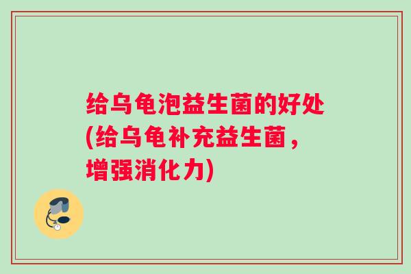 给乌龟泡益生菌的好处(给乌龟补充益生菌，增强消化力)