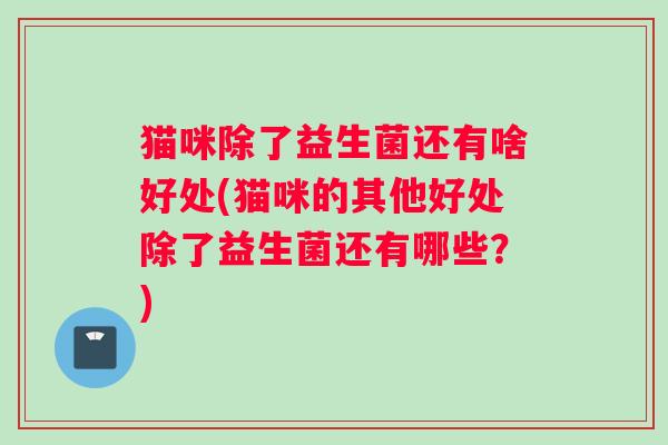 猫咪除了益生菌还有啥好处(猫咪的其他好处除了益生菌还有哪些？)