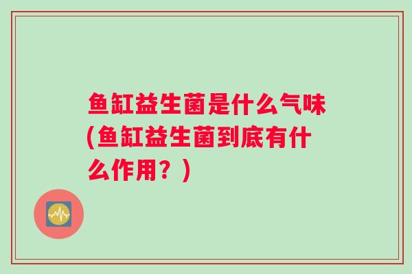 鱼缸益生菌是什么气味(鱼缸益生菌到底有什么作用？)