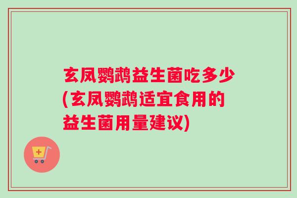玄凤鹦鹉益生菌吃多少(玄凤鹦鹉适宜食用的益生菌用量建议)