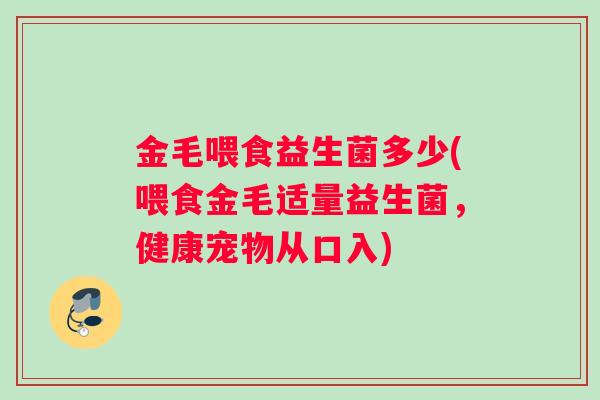 金毛喂食益生菌多少(喂食金毛适量益生菌，健康宠物从口入)