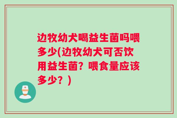 边牧幼犬喝益生菌吗喂多少(边牧幼犬可否饮用益生菌？喂食量应该多少？)