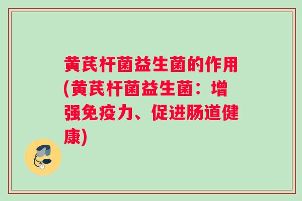 黄芪杆菌益生菌的作用(黄芪杆菌益生菌：增强免疫力、促进肠道健康)