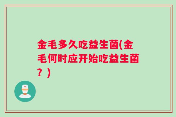 金毛多久吃益生菌(金毛何时应开始吃益生菌？)