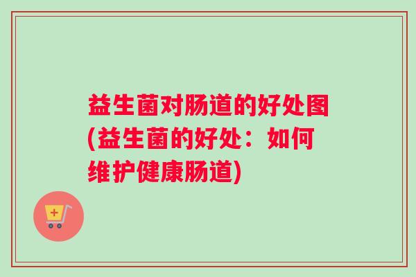 益生菌对肠道的好处图(益生菌的好处：如何维护健康肠道)