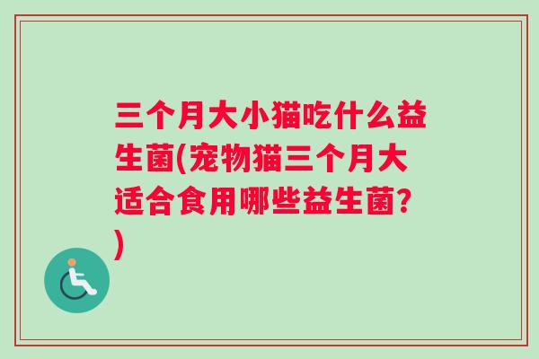三个月大小猫吃什么益生菌(宠物猫三个月大适合食用哪些益生菌？)