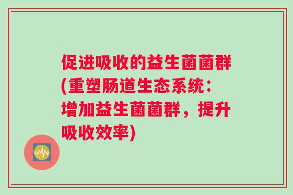 促进吸收的益生菌菌群(重塑肠道生态系统：增加益生菌菌群，提升吸收效率)