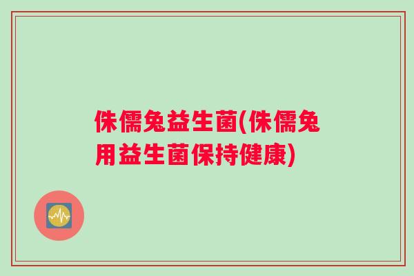 侏儒兔益生菌(侏儒兔用益生菌保持健康)