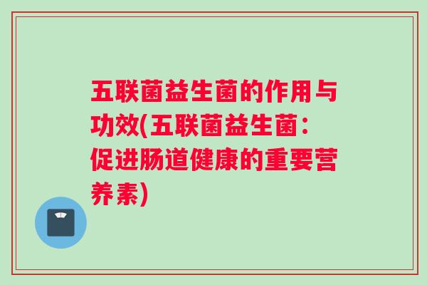 五联菌益生菌的作用与功效(五联菌益生菌：促进肠道健康的重要营养素)