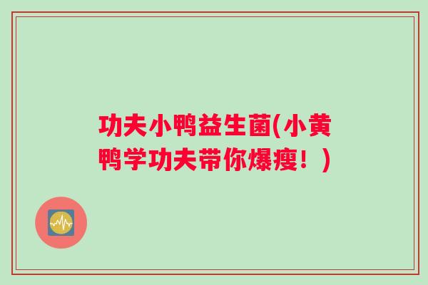 功夫小鸭益生菌(小黄鸭学功夫带你爆瘦！)