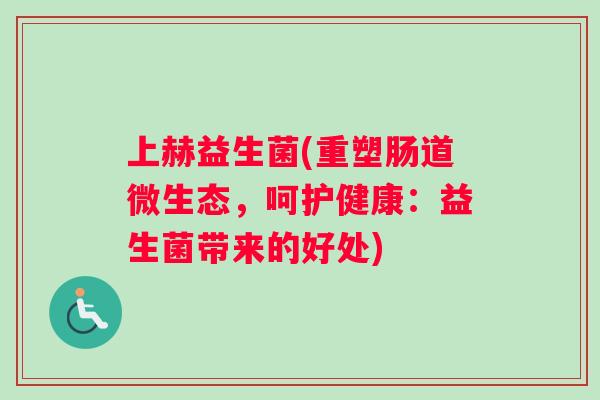 上赫益生菌(重塑肠道微生态，呵护健康：益生菌带来的好处)