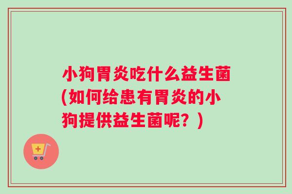 小狗胃炎吃什么益生菌(如何给患有胃炎的小狗提供益生菌呢？)