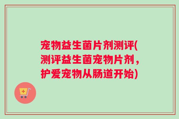 宠物益生菌片剂测评(测评益生菌宠物片剂，护爱宠物从肠道开始)