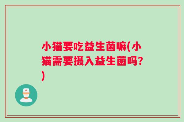 小猫要吃益生菌嘛(小猫需要摄入益生菌吗？)