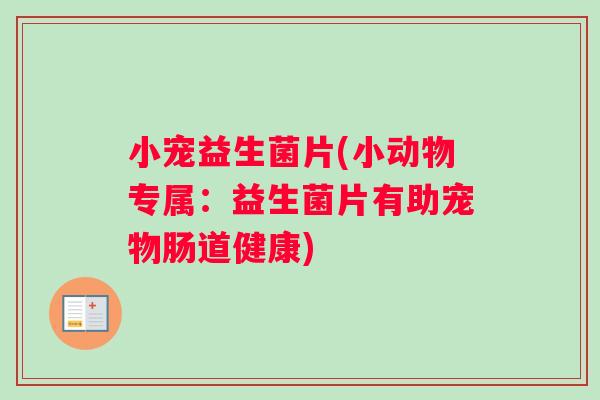 小宠益生菌片(小动物专属：益生菌片有助宠物肠道健康)