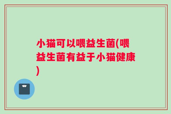 小猫可以喂益生菌(喂益生菌有益于小猫健康)
