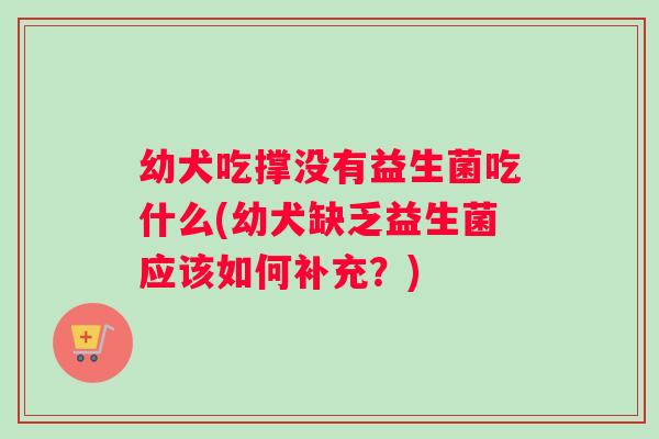 幼犬吃撑没有益生菌吃什么(幼犬缺乏益生菌应该如何补充？)