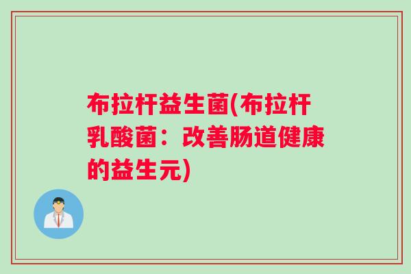 布拉杆益生菌(布拉杆乳酸菌：改善肠道健康的益生元)