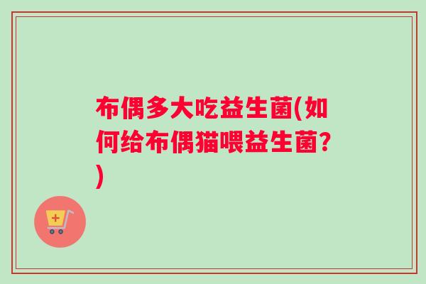 布偶多大吃益生菌(如何给布偶猫喂益生菌？)