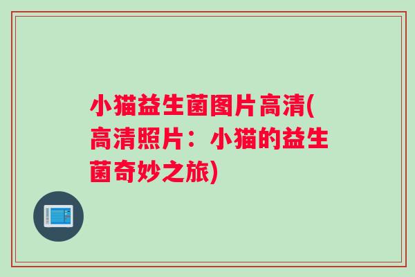 小猫益生菌图片高清(高清照片：小猫的益生菌奇妙之旅)