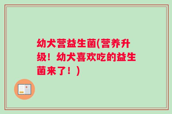 幼犬营益生菌(营养升级！幼犬喜欢吃的益生菌来了！)