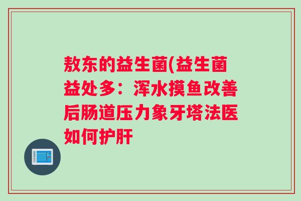 敖东的益生菌(益生菌益处多：浑水摸鱼改善后肠道压力象牙塔法医如何护肝