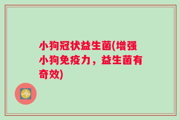 小狗冠状益生菌(增强小狗免疫力，益生菌有奇效)